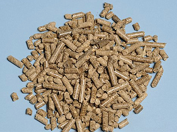 動物蛋白飼料廢氣怎么處理