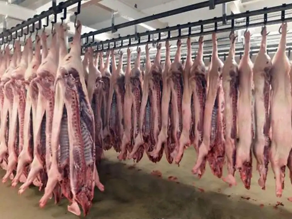 屠宰場臭氣處理方法